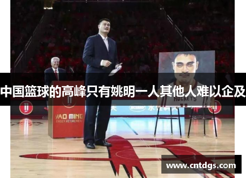 中国篮球的高峰只有姚明一人其他人难以企及